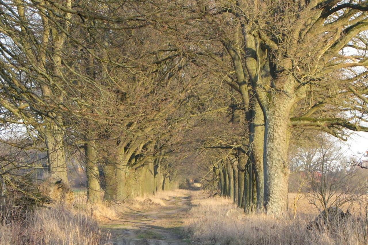 Radlerzimmer Strasen Exterior photo